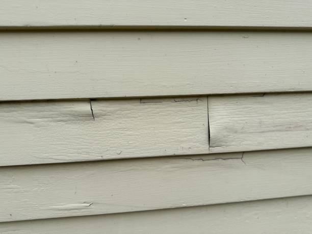 Trusted Fern Prairie, WA Siding Installation & Repair Experts