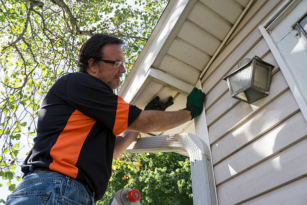 Best Brick Veneer Siding  in Fern Prairie, WA